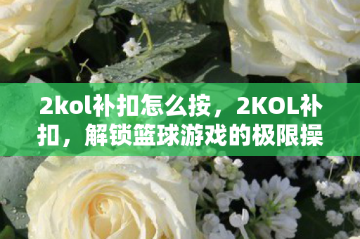2kol补扣怎么按,2KOL补扣,解锁篮球游戏的极限操作 2kol补扣怎么按,2KOL补扣,解锁篮球游戏的极限操作