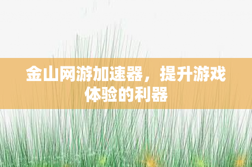 金山网游加速器，提升游戏体验的利器
