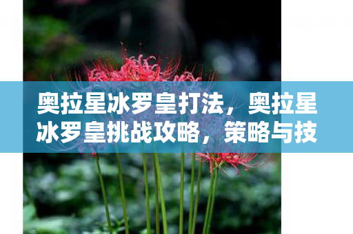 奥拉星冰罗皇打法,奥拉星冰罗皇挑战攻略,策略与技巧详解 奥拉星冰罗皇打法,奥拉星冰罗皇挑战攻略,策略与技巧详解