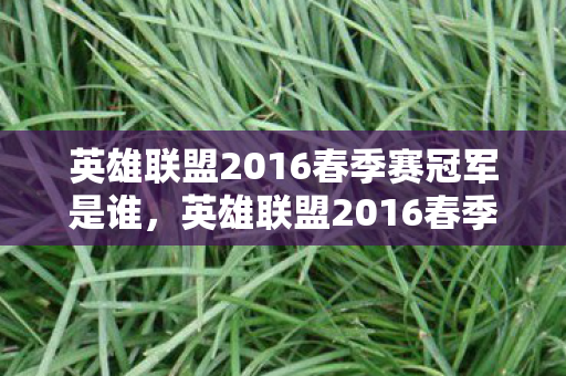 英雄联盟2016春季赛冠军是谁，英雄联盟2016春季赛，战火重燃的荣耀之战