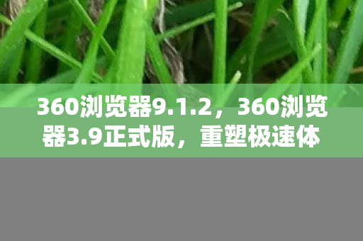 360浏览器9.1.2，360浏览器3.9正式版，重塑极速体验，引领安全新高度