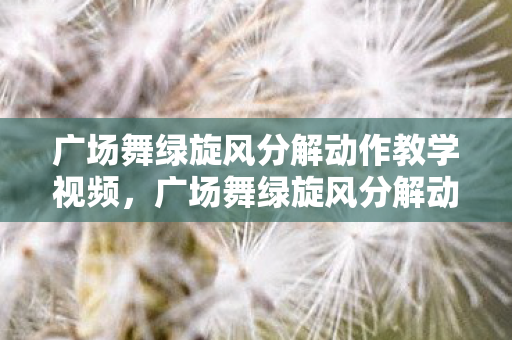 广场舞绿旋风分解动作教学视频,广场舞绿旋风分解动作详解 广场舞绿旋风分解动作教学视频,广场舞绿旋风分解动作详解