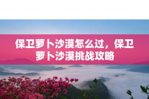 保卫萝卜沙漠怎么过,保卫萝卜沙漠挑战攻略 保卫萝卜沙漠怎么过,保卫萝卜沙漠挑战攻略