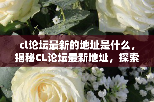 cl论坛最新的地址是什么,揭秘CL论坛最新地址,探索数字时代的交流平台 cl论坛最新的地址是什么,揭秘CL论坛最新地址,探索数字时代的交流平台