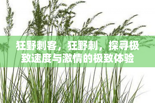 狂野刺客，狂野刺，探寻极致速度与激情的极致体验