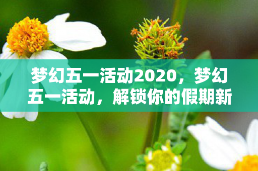 梦幻五一活动2020，梦幻五一活动，解锁你的假期新体验