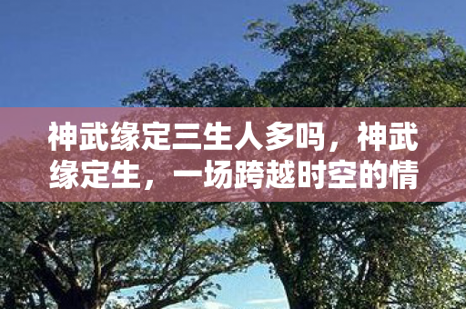 神武缘定三生人多吗，神武缘定生，一场跨越时空的情缘