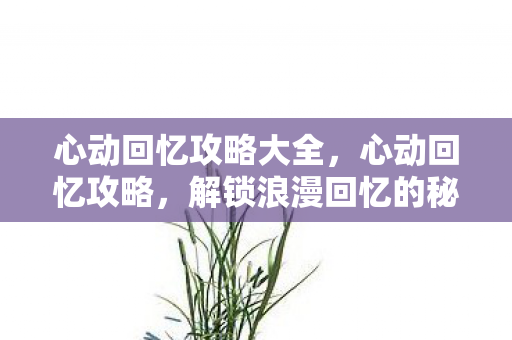 心动回忆攻略大全,心动回忆攻略,解锁浪漫回忆的秘诀 心动回忆攻略大全,心动回忆攻略,解锁浪漫回忆的秘诀