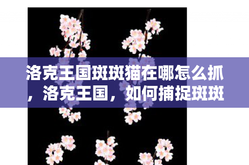 洛克王国斑斑猫在哪怎么抓，洛克王国，如何捕捉斑斑猫？