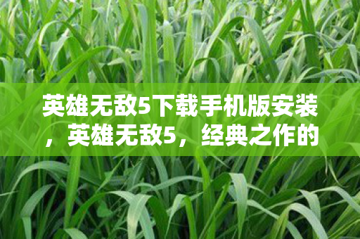 英雄无敌5下载手机版安装，英雄无敌5，经典之作的下载之旅