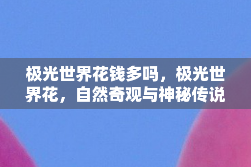 极光世界花钱多吗，极光世界花，自然奇观与神秘传说的交织