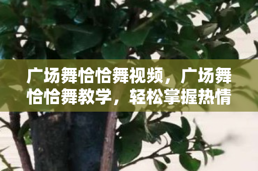 广场舞恰恰舞视频，广场舞恰恰舞教学，轻松掌握热情洋溢的舞步