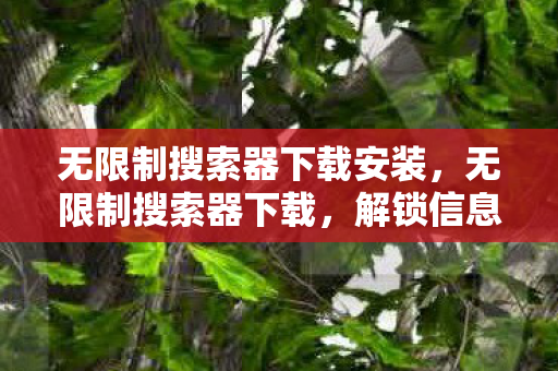 无限制搜索器下载安装，无限制搜索器下载，解锁信息海洋的钥匙？