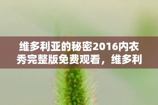 维多利亚的秘密2016内衣秀完整版免费观看，维多利亚的秘密2016内衣秀，时尚与梦幻的完美结合