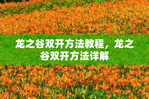 龙之谷双开方法教程,龙之谷双开方法详解 龙之谷双开方法教程,龙之谷双开方法详解