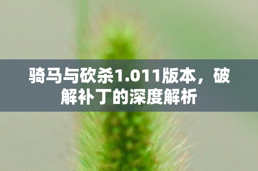骑马与砍杀1.011版本，破解补丁的深度解析