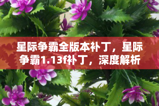 星际争霸全版本补丁，星际争霸1.13f补丁，深度解析与实战指南