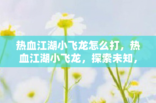 热血江湖小飞龙怎么打，热血江湖小飞龙，探索未知，挑战极限