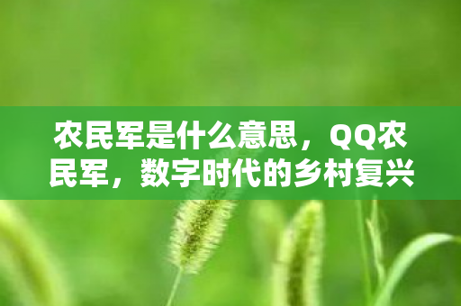 农民军是什么意思,QQ农民军,数字时代的乡村复兴与社群力量 农民军是什么意思,QQ农民军,数字时代的乡村复兴与社群力量