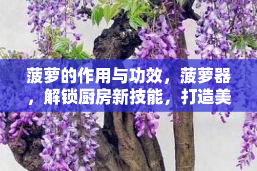 菠萝的作用与功效,菠萝器,解锁厨房新技能,打造美味菠萝佳肴 菠萝的作用与功效,菠萝器,解锁厨房新技能,打造美味菠萝佳肴