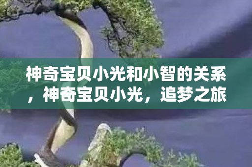 神奇宝贝小光和小智的关系,神奇宝贝小光,追梦之旅与友谊的闪耀 神奇宝贝小光和小智的关系,神奇宝贝小光,追梦之旅与友谊的闪耀