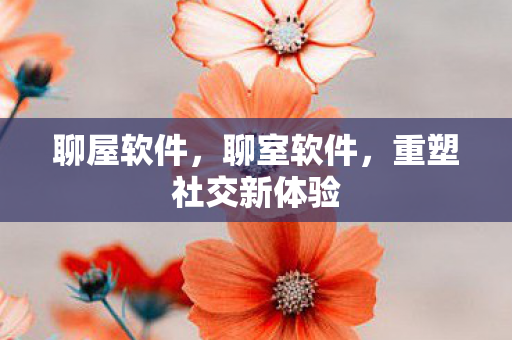 聊屋软件,聊室软件,重塑社交新体验 聊屋软件,聊室软件,重塑社交新体验
