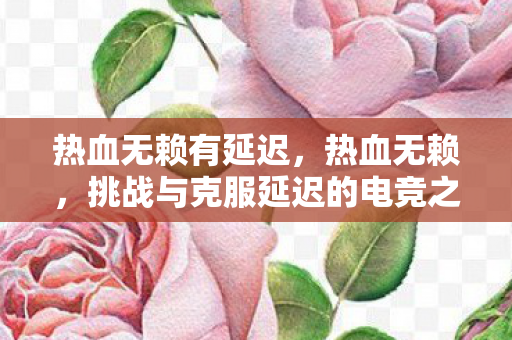 热血无赖有延迟，热血无赖，挑战与克服延迟的电竞之旅