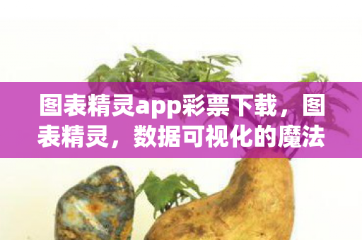图表精灵app彩票下载，图表精灵，数据可视化的魔法工具