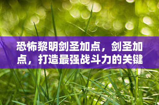 恐怖黎明剑圣加点，剑圣加点，打造最强战斗力的关键