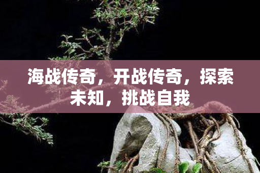 海战传奇,开战传奇,探索未知,挑战自我 海战传奇,开战传奇,探索未知,挑战自我