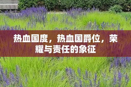 热血国度,热血国爵位,荣耀与责任的象征 热血国度,热血国爵位,荣耀与责任的象征