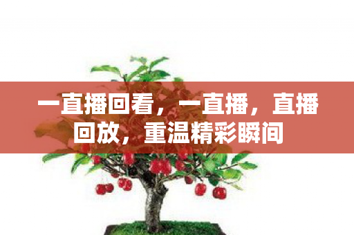 一直播回看，一直播，直播回放，重温精彩瞬间