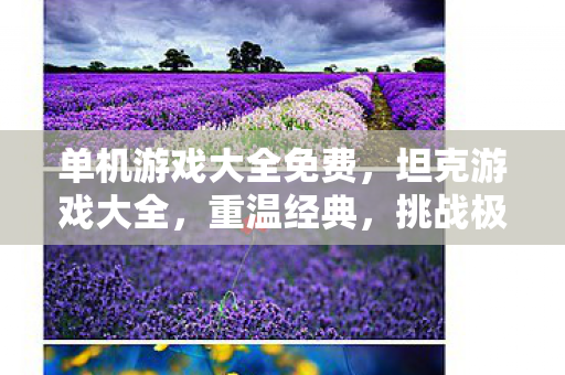 单机游戏大全免费，坦克游戏大全，重温经典，挑战极限