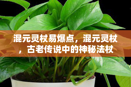 混元灵杖易爆点，混元灵杖，古老传说中的神秘法杖