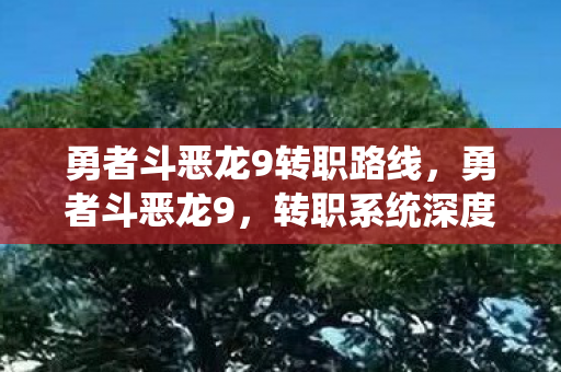 勇者斗恶龙9转职路线，勇者斗恶龙9，转职系统深度解析