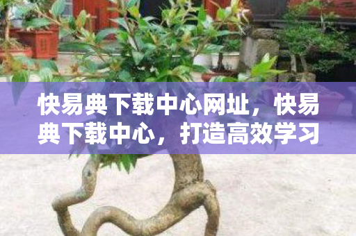 快易典下载中心网址,快易典下载中心,打造高效学习资源的便捷平台 快易典下载中心网址,快易典下载中心,打造高效学习资源的便捷平台