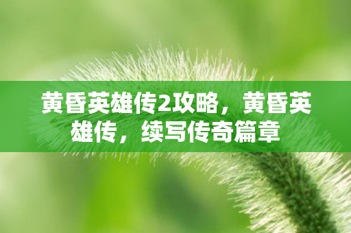 黄昏英雄传2攻略，黄昏英雄传，续写传奇篇章