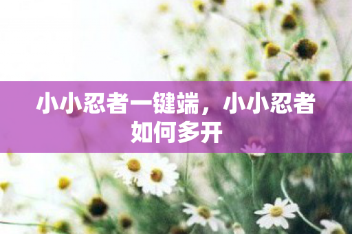 小小忍者一键端，小小忍者如何多开