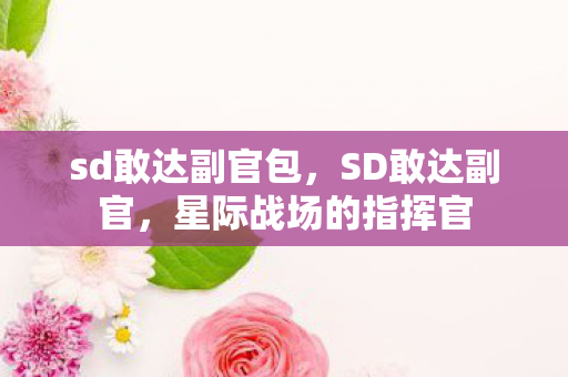 sd敢达副官包，SD敢达副官，星际战场的指挥官