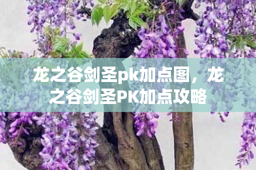 龙之谷剑圣pk加点图，龙之谷剑圣PK加点攻略