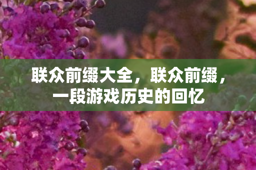 联众前缀大全，联众前缀，一段游戏历史的回忆