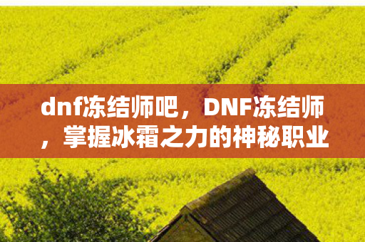dnf冻结师吧，DNF冻结师，掌握冰霜之力的神秘职业