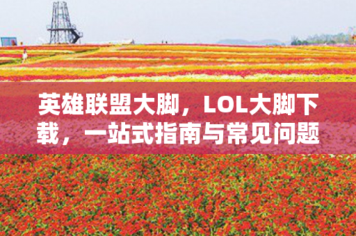 英雄联盟大脚，LOL大脚下载，一站式指南与常见问题解答