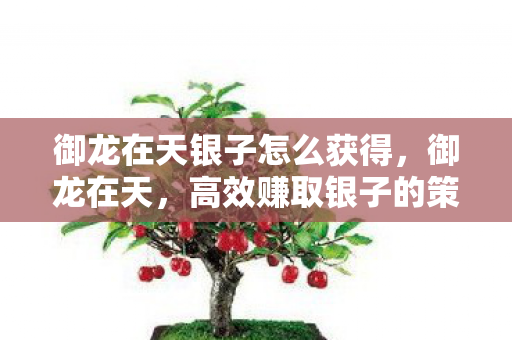 御龙在天银子怎么获得,御龙在天,高效赚取银子的策略指南 御龙在天银子怎么获得,御龙在天,高效赚取银子的策略指南