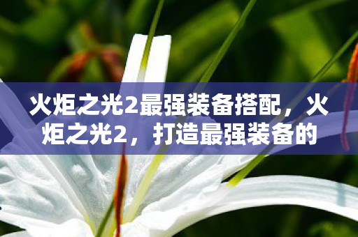 火炬之光2最强装备搭配,火炬之光2,打造最强装备的全面指南 火炬之光2最强装备搭配,火炬之光2,打造最强装备的全面指南