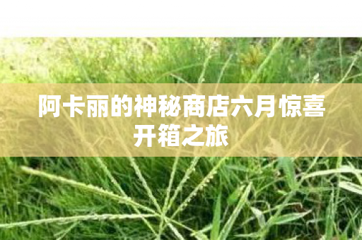 阿卡丽的神秘商店六月惊喜开箱之旅