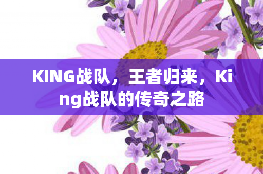 KING战队，王者归来，King战队的传奇之路