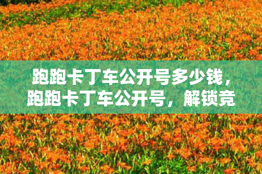 跑跑卡丁车公开号多少钱，跑跑卡丁车公开号，解锁竞速新体验