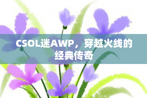 CSOL迷AWP,穿越火线的经典传奇 CSOL迷AWP,穿越火线的经典传奇