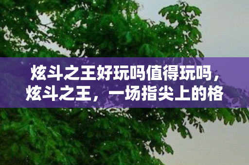 炫斗之王好玩吗值得玩吗，炫斗之王，一场指尖上的格斗盛宴